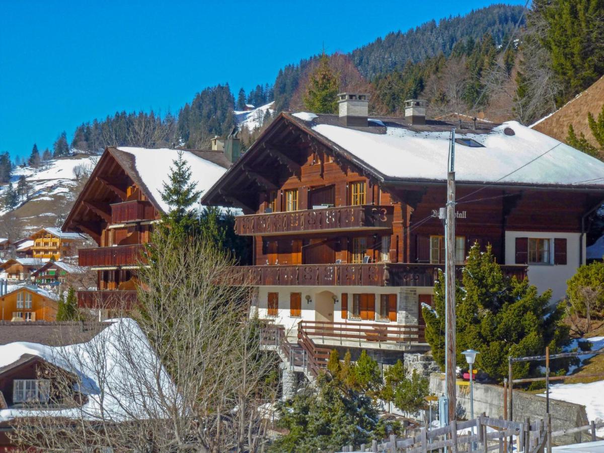 Apartment Bergkristall Wengen Bagian luar foto