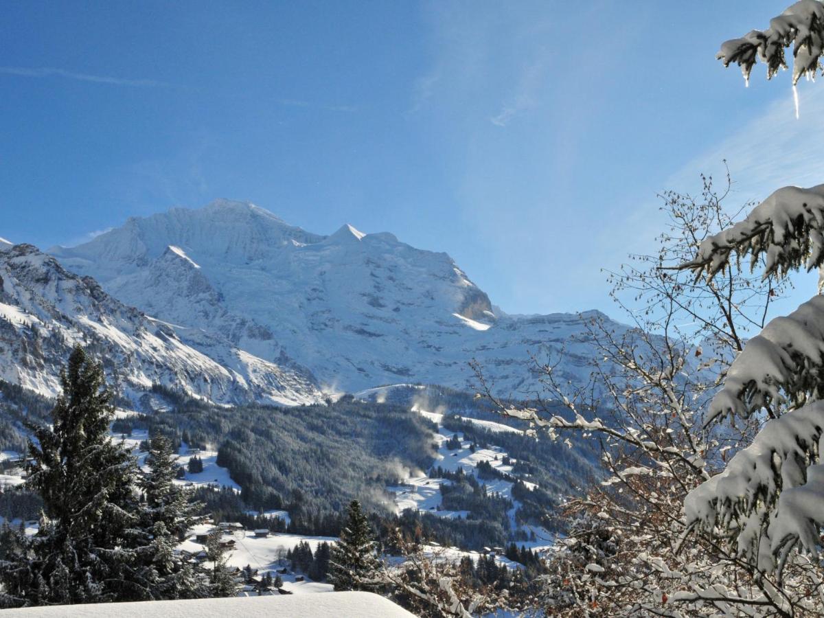 Apartment Bergkristall Wengen Bagian luar foto