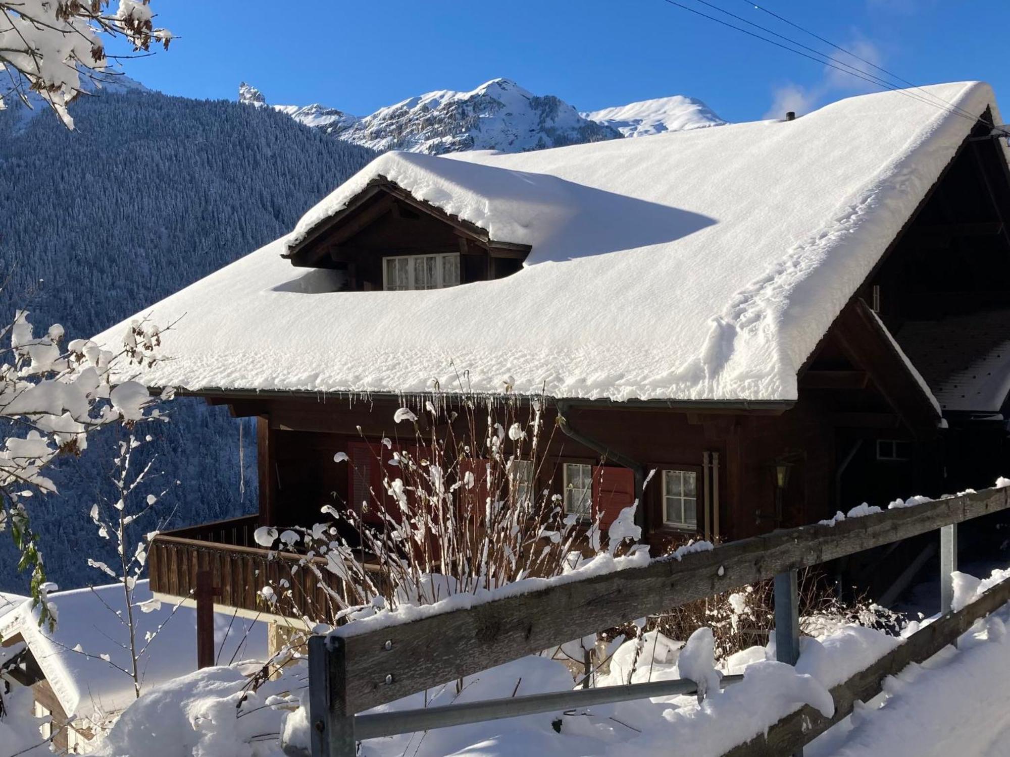 Apartment Bergkristall Wengen Bagian luar foto