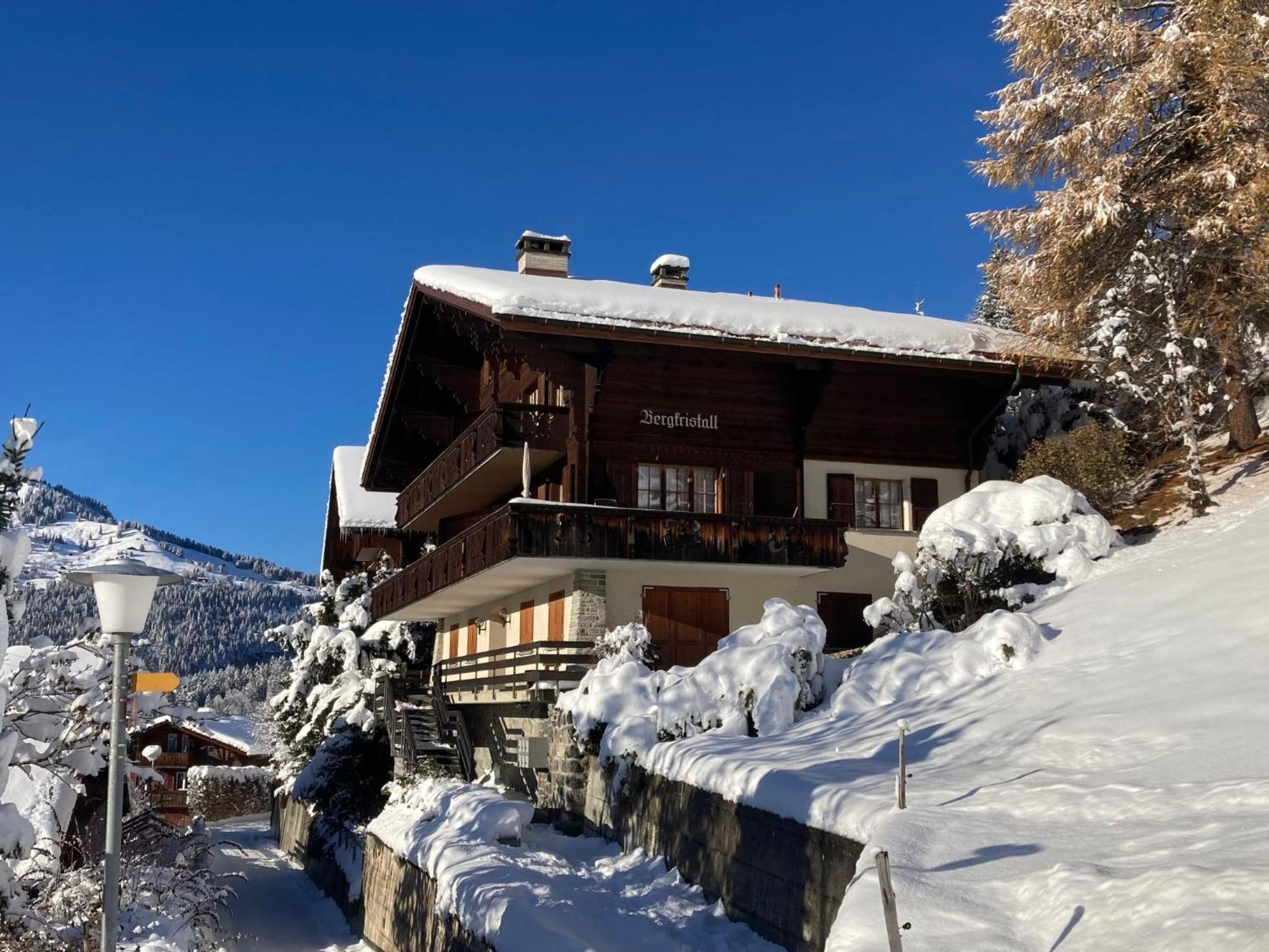 Apartment Bergkristall Wengen Bagian luar foto